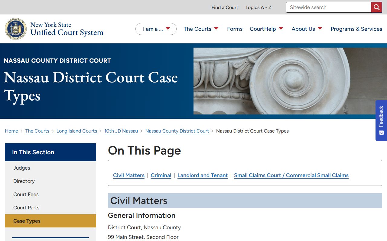 Nassau County District Court records case types page